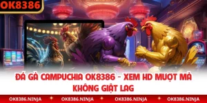 Đá Gà Campuchia OK8386 - Xem HD Mượt Mà Không Giật Lag