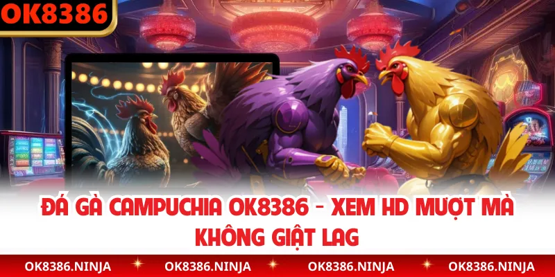 Đá Gà Campuchia OK8386 - Xem HD Mượt Mà Không Giật Lag