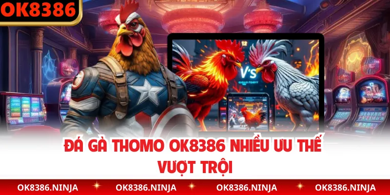 Đá gà Thomo OK8386 nhiều ưu thế vượt trội