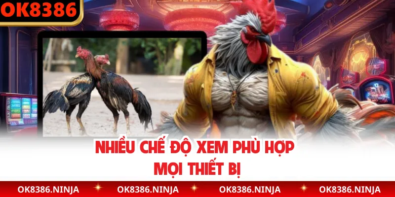 Nhiều chế độ xem phù hợp mọi thiết bị