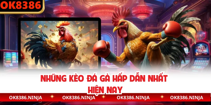 Những kèo đá gà hấp dẫn nhất hiện nay