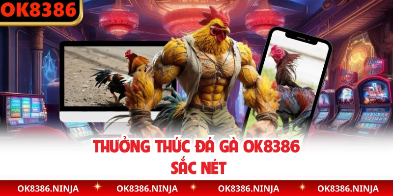 Thưởng thức đá gà OK8386 sắc nét