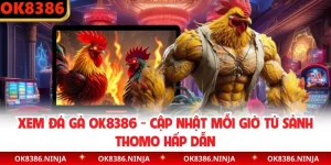 Xem Đá Gà OK8386 - Cập Nhật Mỗi Giờ Từ Sảnh Thomo Hấp Dẫn